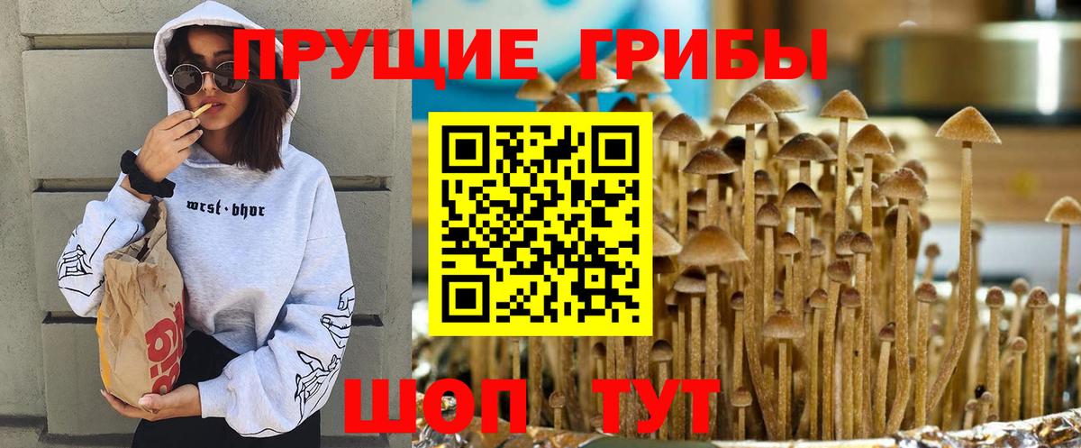 Десногорск  Галлюциногенные грибы ЛСД  Вход с VPN 