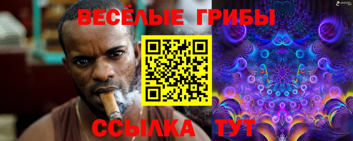 Галлюциногенные грибы MAGIC MUSHROOMS Десногорск